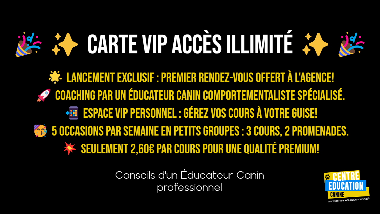 cours dressage chien tarif, tarif club canin, tarif education canine, prix cours education canine, prix cours de dressage chien, educateur canin pas cher, éducation canine petit prix, cours d'éducation canine en groupe, cours d'éducationcanine petit groupe, dressage chien en groupe, dressage chien petit groupe, cours éducation canine monchecourt, dressage canin monchecourt
